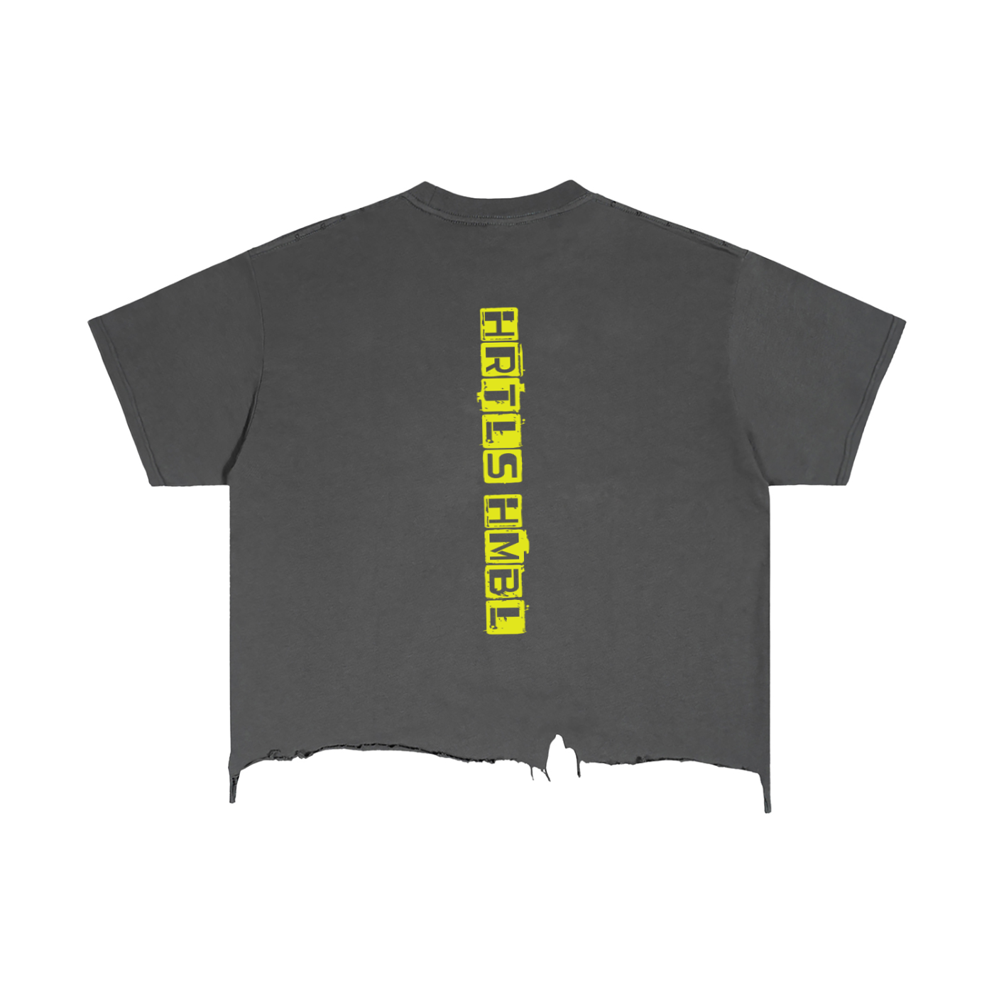 HRTLS HMBL Vintage Wash Boxy Distressed Tee